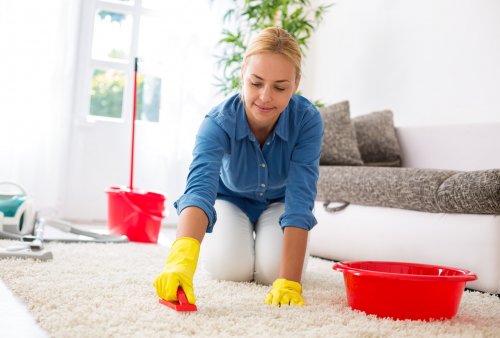 Как почистить ковёр дома