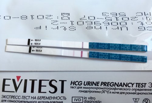 Беременность на тесте: правда и ложь